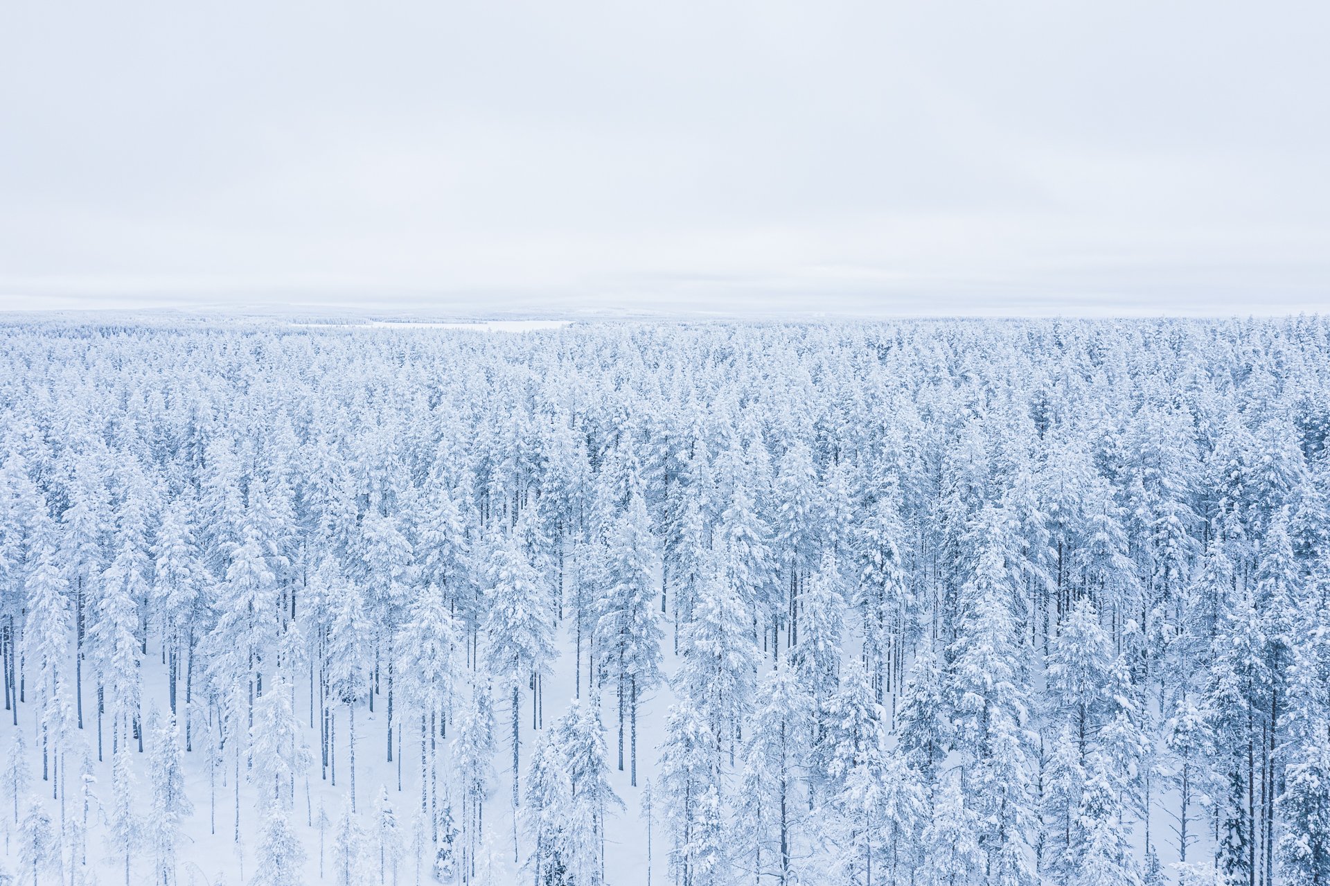 DJI_0500
